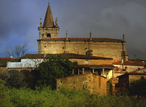 Hoyos